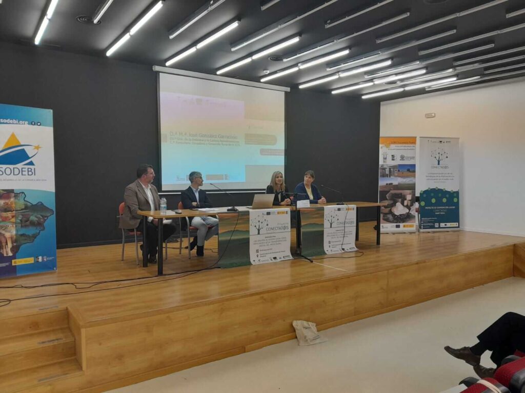 Proyecto CONECTADOS. Seminario Final