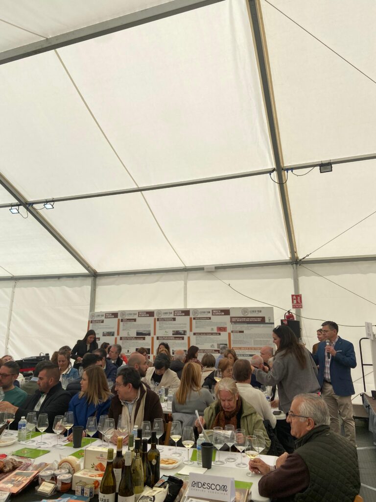 Cata de vinos blancos de la D.O. Rueda elaborados en la Campiña Segoviana